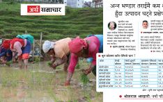 असार सकिन लाग्दा देशभर २७ प्रतिशत मात्रै रोपाइँ
