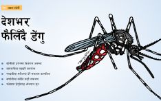 वर्षा लाग्यो डेंगुकै डर : दैनिक थपिँदै संक्रमित, नियन्त्रणमा बेवास्ता