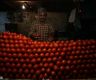 印度一周内两位农民因西红柿被杀 一被害者生前曾通过出售西红柿赚了300万卢比