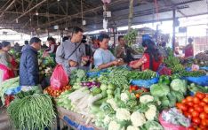 2022/23 财年尼泊尔从印度进口了价值62.9亿卢比的蔬菜和水果