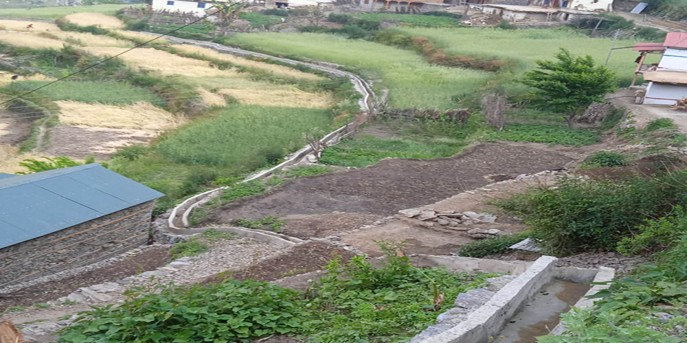 ण