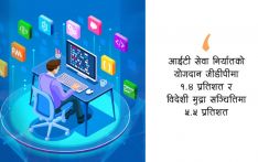 आईटी सेवा निर्यातबाटै वार्षिक ६७ अर्ब आम्दानी