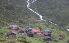 Tokpegola Basti in Taplejung