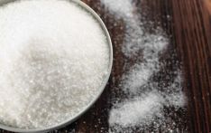 市场担忧印度可能限制糖出口