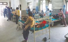 尼泊尔卫生部门发出登革热疫情爆发风险警报