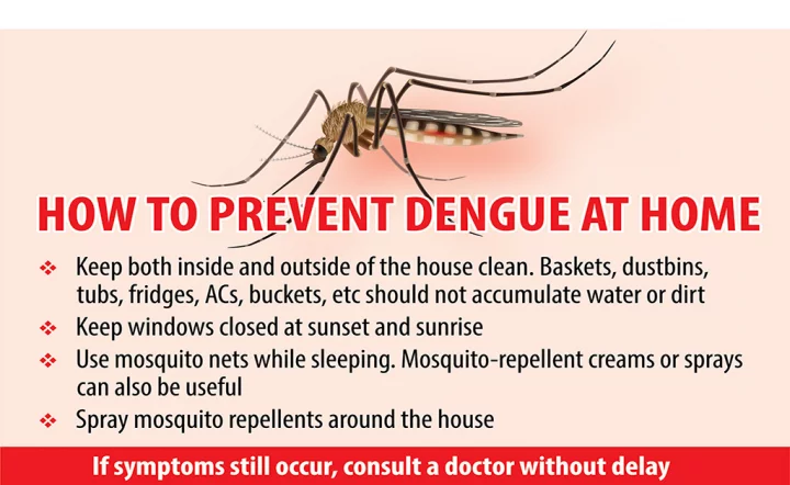 dengue prevention