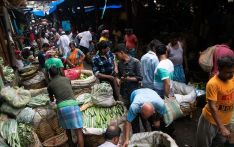 印度食品价格飙升，增加粮食储备成印度政府大选前关键策略