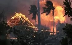 夏威夷山火已致53人死 拜登批准“重大灾难声明”