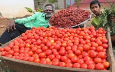 “西红柿也要休假” 印度汉堡王从菜单中删除西红柿以应对通胀
