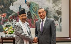 王毅会见尼泊尔副总统亚达夫