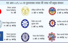 आयल निगम सर्वाधिक नाफा गर्ने संस्थान, प्राधिकरण दोस्रो 