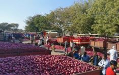 西红柿涨了洋葱涨...印度将对洋葱征收40%的出口税