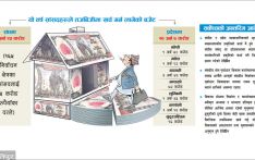 निर्वाचन क्षेत्रको बजेट रोक
