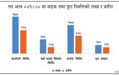 निर्माण क्षेत्रमा मन्दीको असर लक्ष्यअनुसार भएनन् सडक र पुल निर्माण 