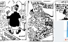गाईजात्रे कार्टुनका ती दिन