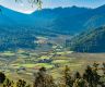 外媒：不丹对外国游客“碳税”减半，从每人每天200美元降至100美元