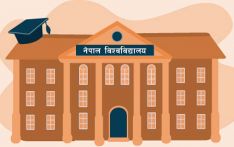 विदेशबाट प्राध्यापक ल्याएर स्नातकोत्तरमा पढाउने तयारी गर्दै नेपाल विश्वविद्यालय