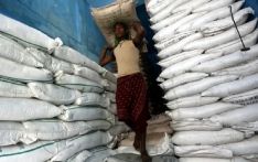 新一年度印度可能禁止或限制糖出口