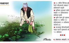 खेतीयोग्य जमिन घट्यो, कृषिमा आश्रित परिवार बढे