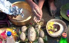 कुशे औंसी अर्थात बुवाको मुख हेर्ने दिन, घरमा कुश भित्र्याएर मनाइँदै