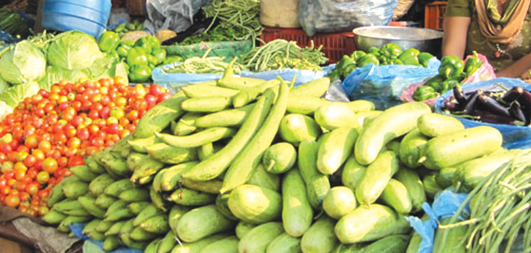 tarkali2019-07-06-10-42-38