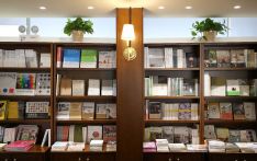 海外侨胞：我们在纽约创办中文书店