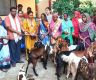 २४ जना विपन्न महिलालाई बाख्रा वितरण