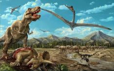 英媒：研究称恐龙注定会灭绝