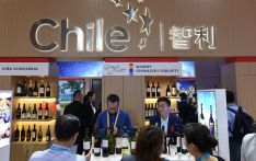 智利媒体：2023年中国“智利周”活动启动