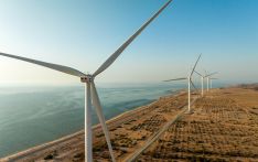 中企承建阿联酋首个风电项目投入运营