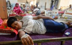 孟加拉国今年已逾千人死于登革热 确诊超21万例