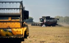 俄副总理：俄罗斯2023年粮食收成预计约为1.4亿吨