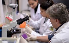 巴西科学家试验可卡因戒断疫苗