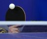 西班牙“乒乓国手”帕莱斯：“成为中国冠军比世界冠军更难”