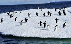 “冰火交融”的罗斯海：我国建设第五个南极考察站的地方