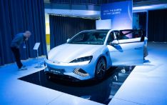 美媒：中国在电动汽车竞赛中“优势明显”