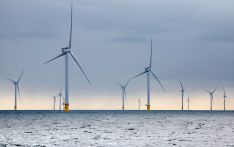 德企反对欧洲对中国风力涡轮机“竖栅栏”