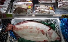 日媒：日企开拓“人造鱼肉”市场