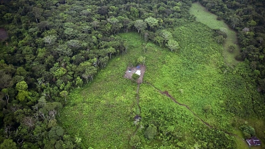 000_1WZ2A4_Colombie_deforestation_Raul_Arboleda_AFP