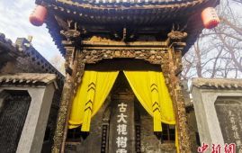 江山如画｜大槐树寻根：相思六百年 情牵海内外