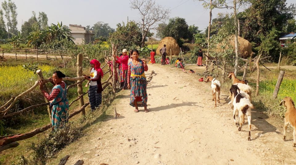 chhada chaupaya problem