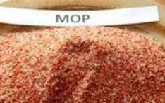 Maximum retail price of MOP fertiliser announced at Rs. 9,000