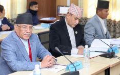 एनसेलको शेयर खरिद बिक्री अस्वभाविक छ : प्रधानमन्त्री