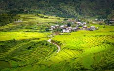 不丹脱离最不发达国家地位