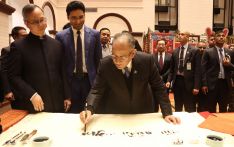 नेपालमा चिनियाँ नयाँ वर्ष शृङ्खलाको उद्घाटन, चीन–नेपाल सम्बन्ध कसिलो बनाउने प्रयास (तस्विरहरू)