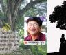 चौतारी संस्कृति