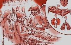 尼泊尔人体器官移植中心11年完成1200例肾移植手术