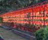 Ratnapark glows red in the Chinese New Year Lantern Exhibition ceremony 