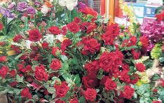情人节玫瑰为尼泊尔创造了价值3500万卢比的收入
