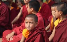 蓝毗尼国际禅修日掠影 近千名僧侣信众开启心灵之旅